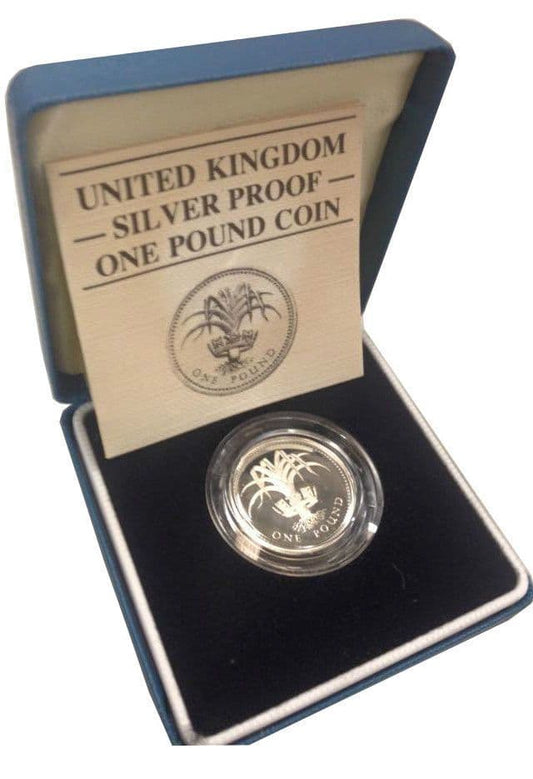 1984 Silver Proof One Pound Coin