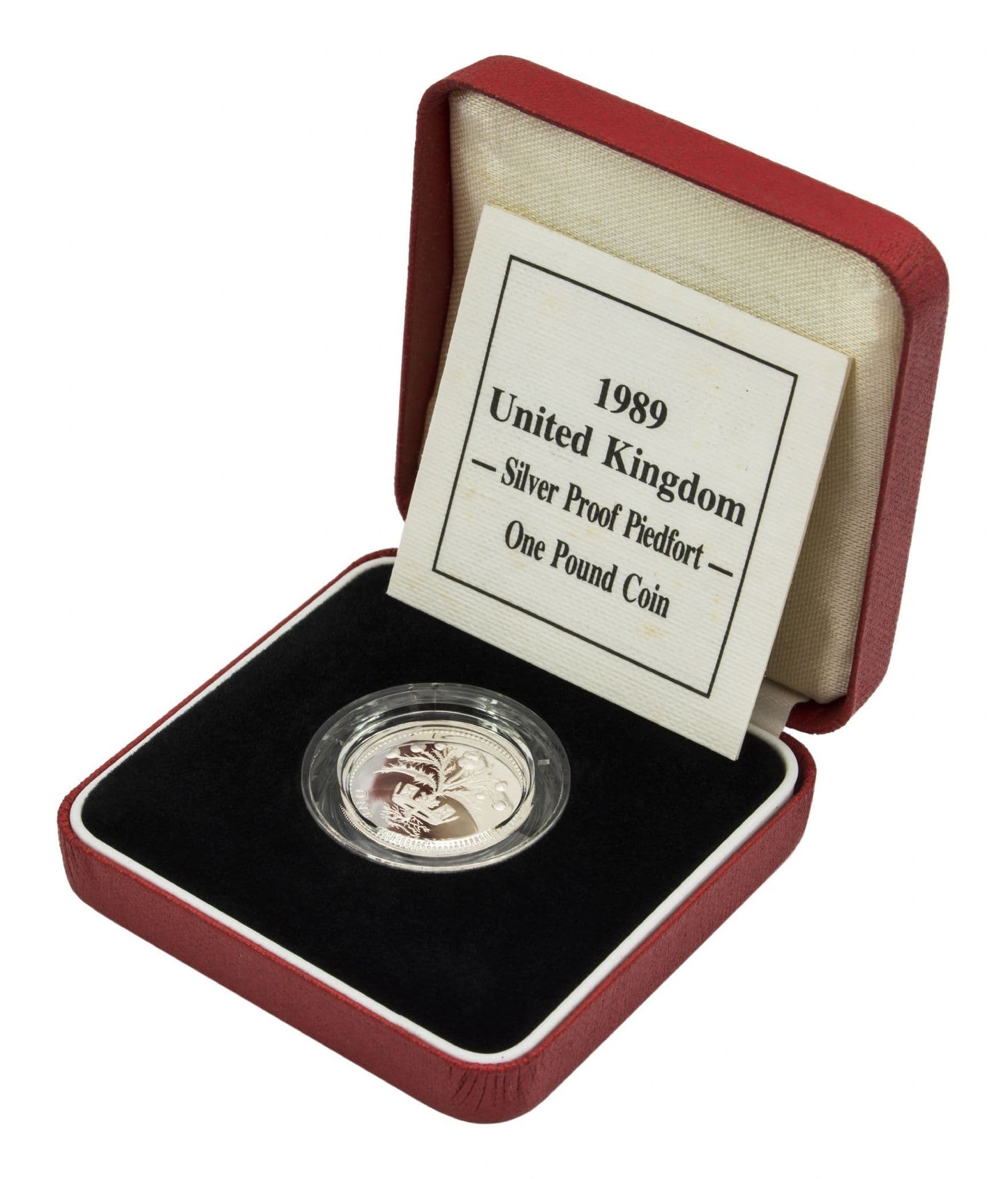 1989 Silver Proof Piedfort One Pound